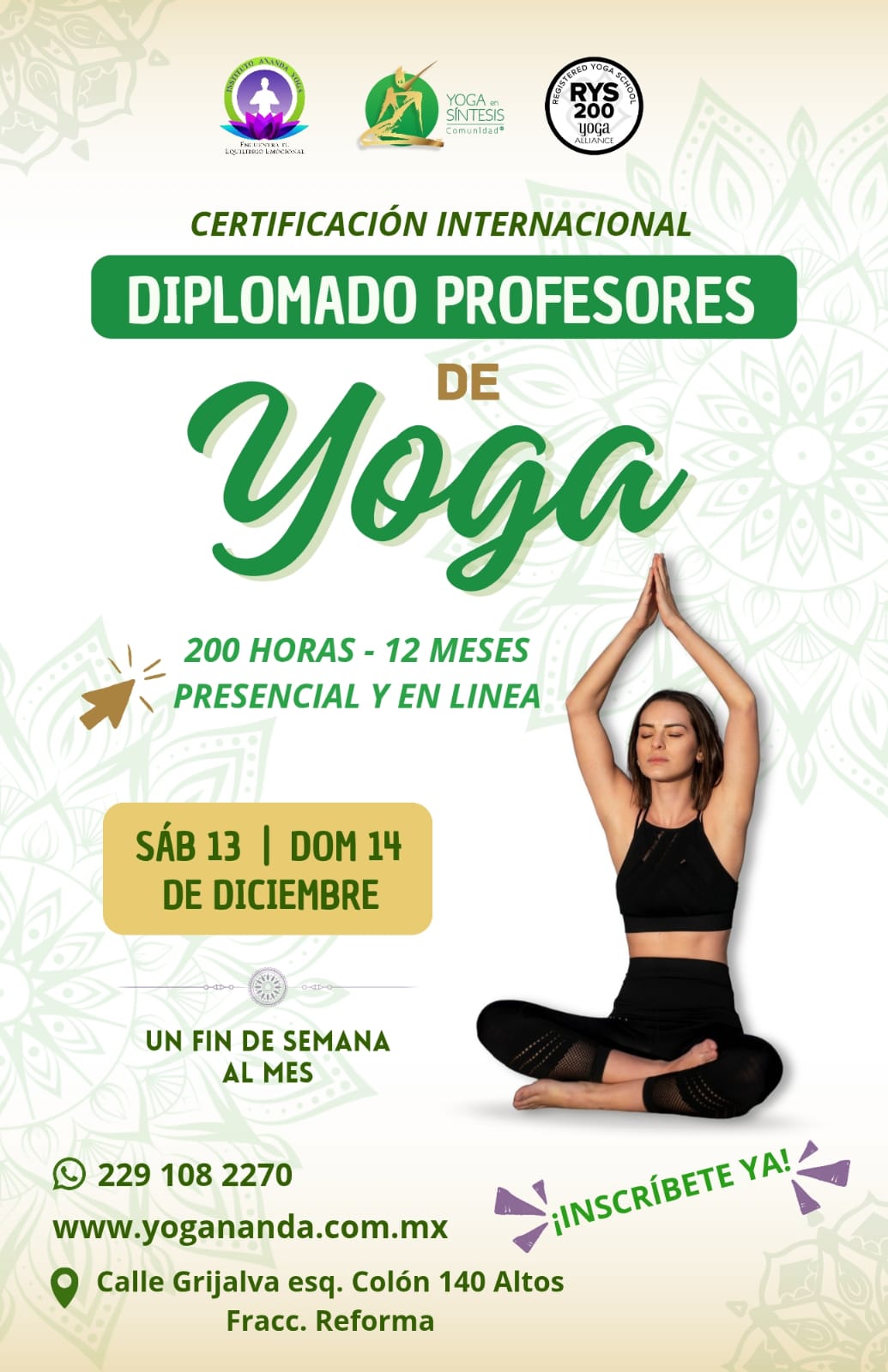 WhatsApp Image 2025-11-27 at 13.57.14